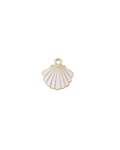 White Scallop Shell