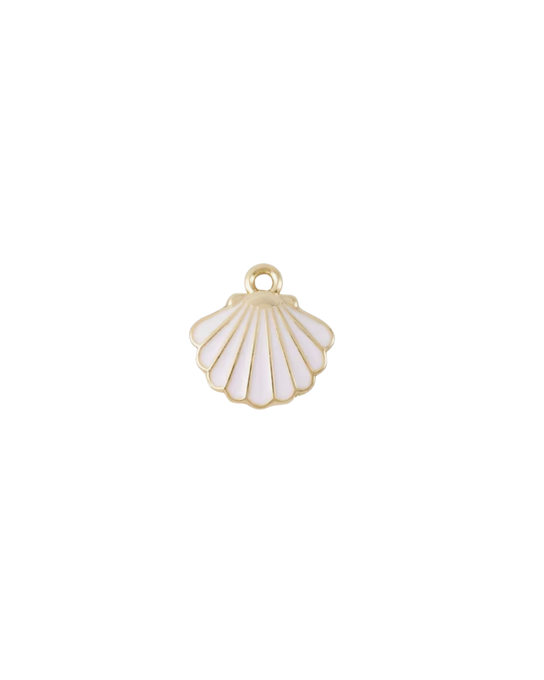 White Scallop Shell