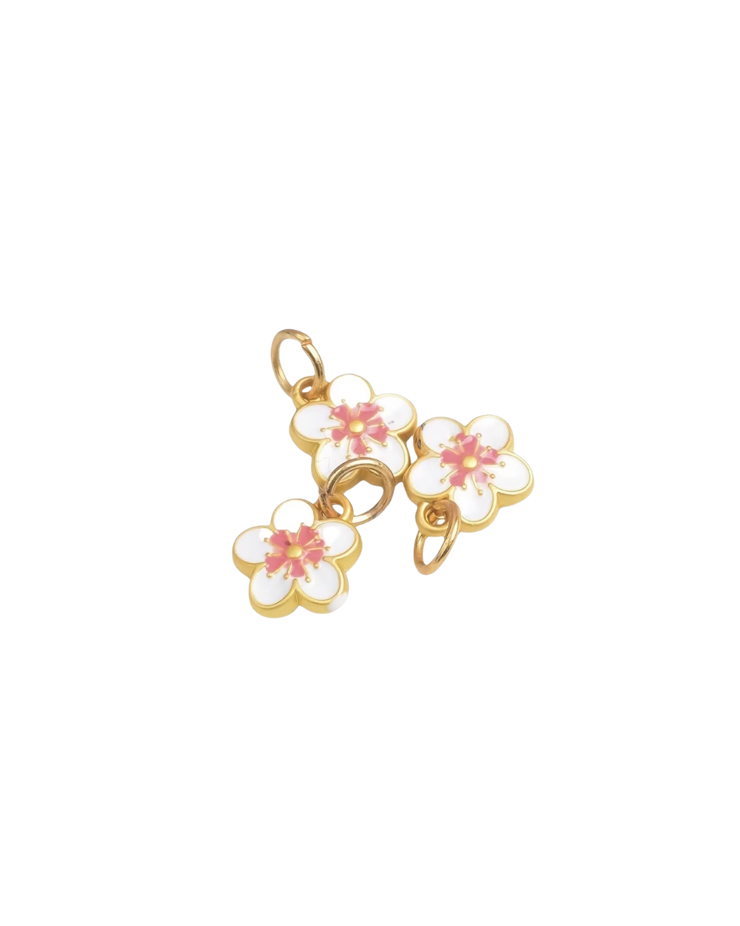 Pink & White Flower