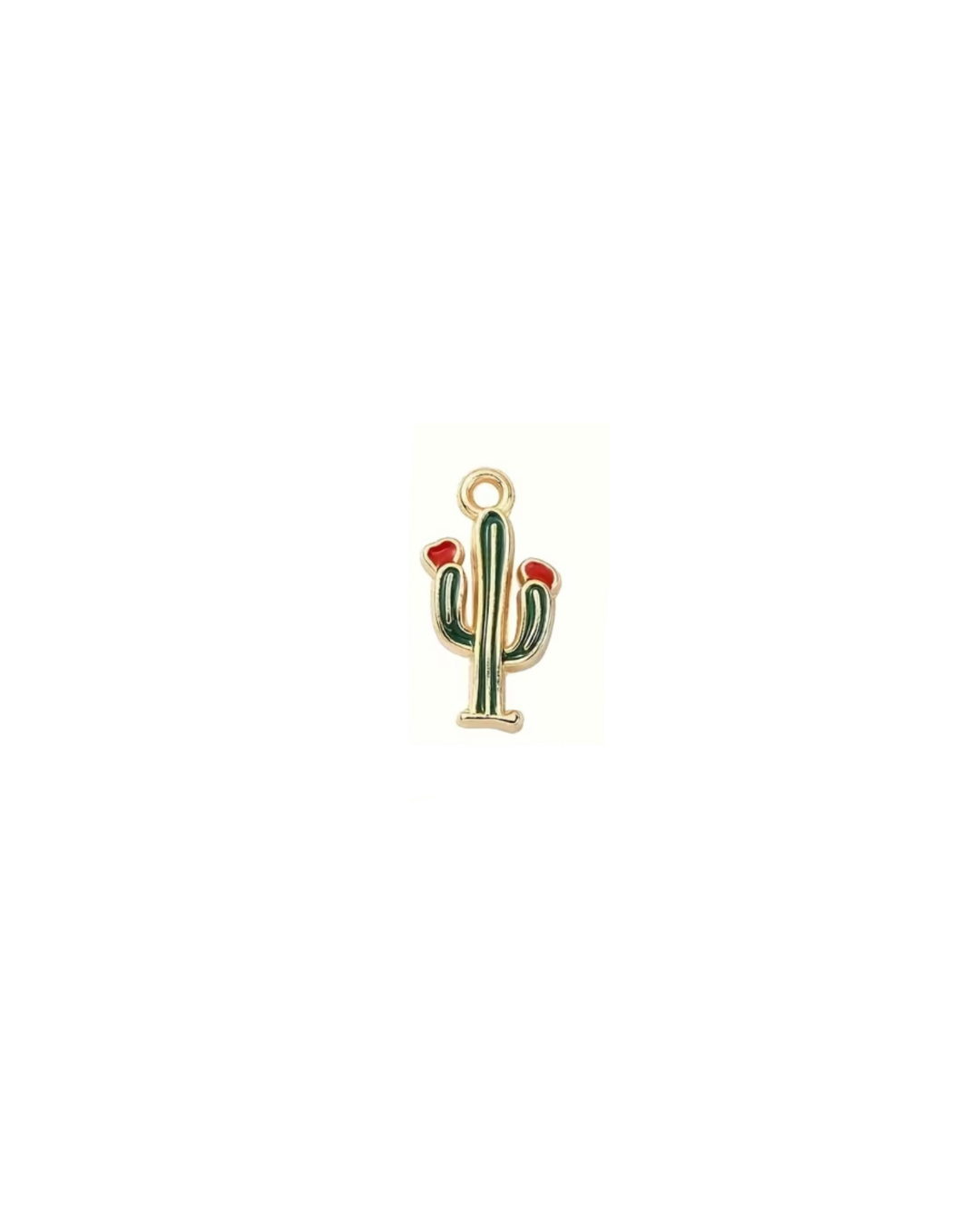 Small Green Cactus